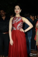 Bengal Tiger Movie Triple Platinum Disc Function